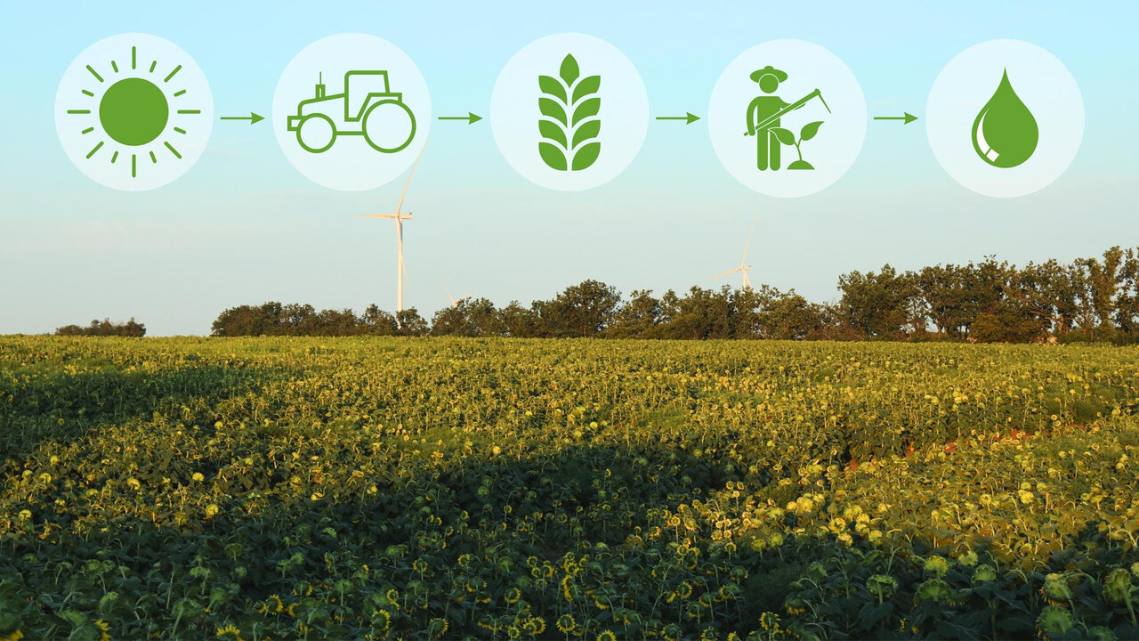 Sensor-Based Agriculture